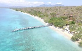 NusaBay Menjangan